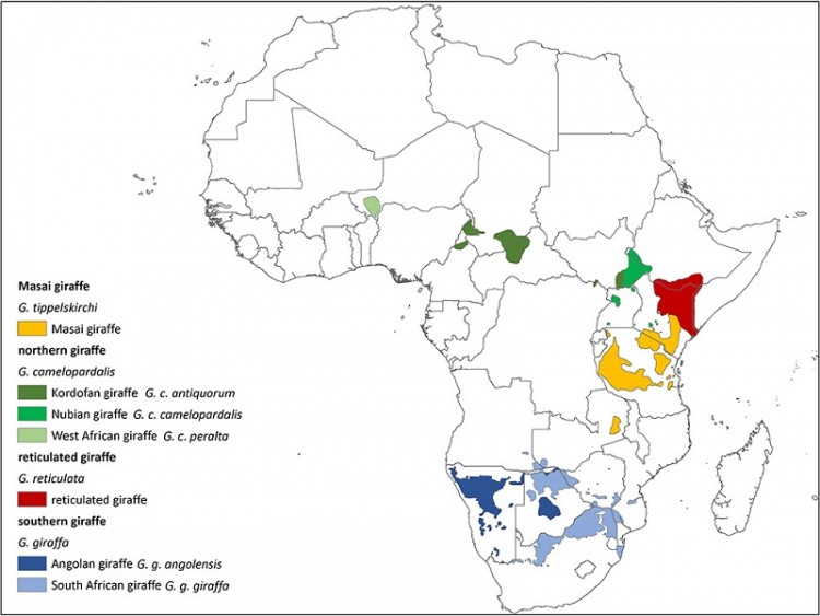 Africa_Giraffe_Range_Map_August-2016_AllNames.jpg