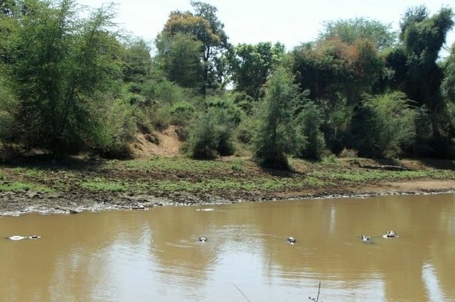 Levuvhu River.jpg