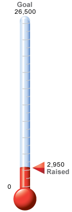thermometer (1).png