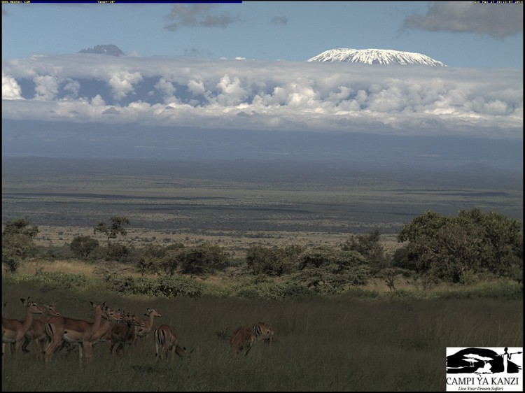 Kilimanjaro as seen from Campi Ya kanzi.