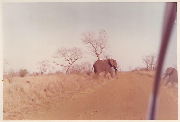 Scan0002.jpg