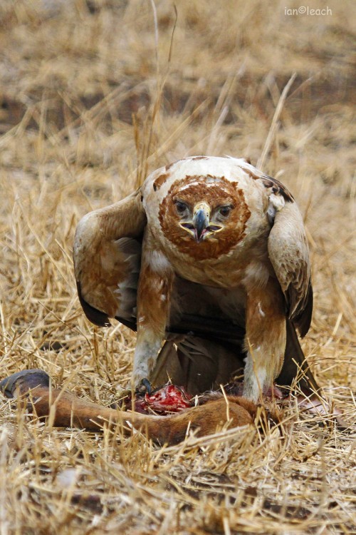 lunch.JPG