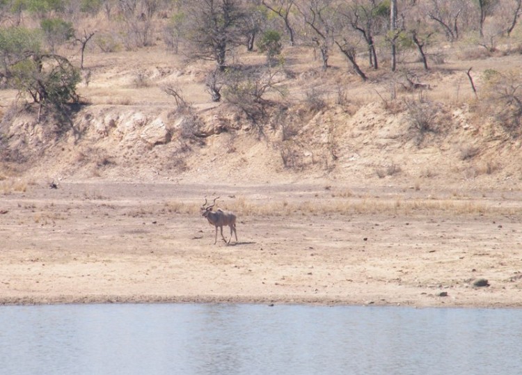 DSCF0090.JPG