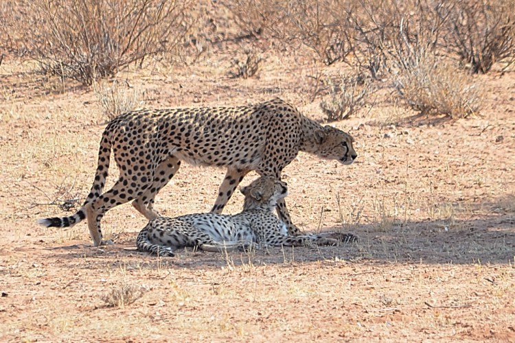 DSC_2560_00022.jpg