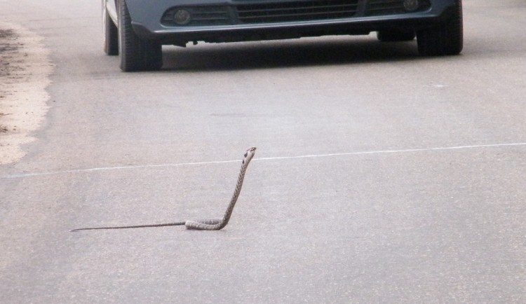 w1.jpg