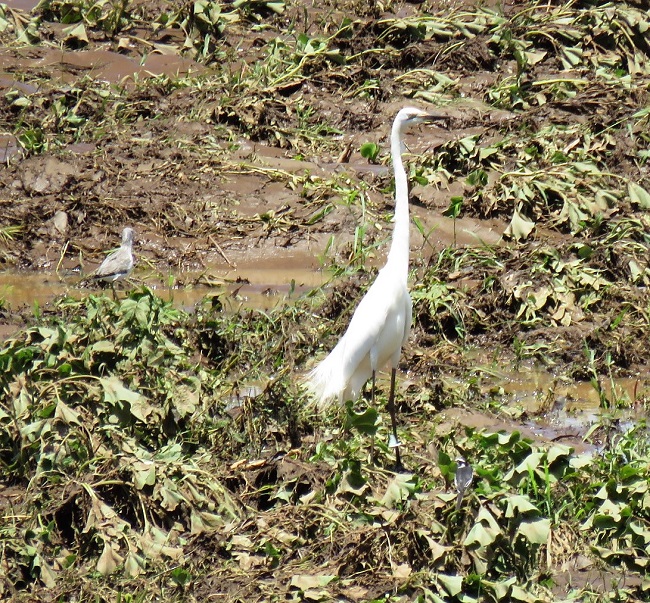 IMG_4012.JPG
