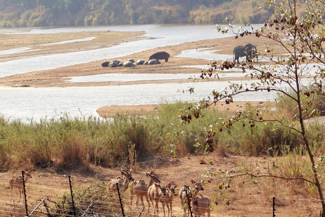 Lower Sabie.jpg
