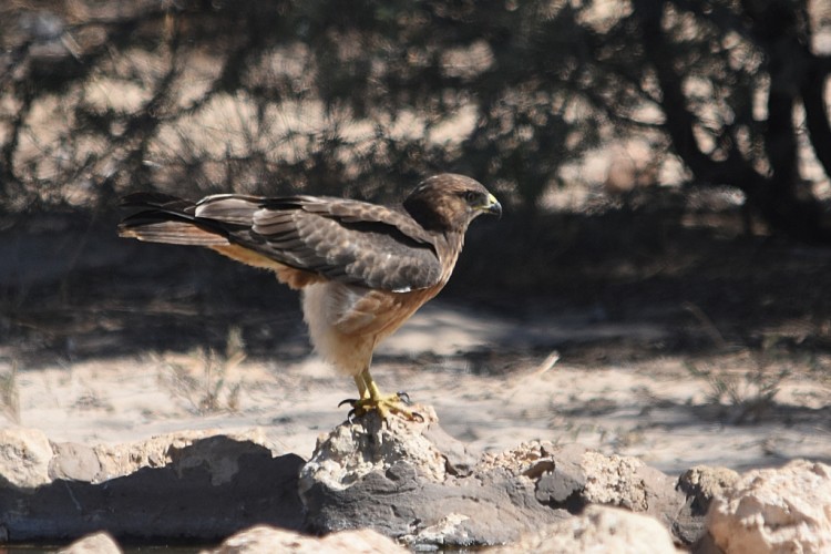 DSC_0826_00013_00014.jpg
