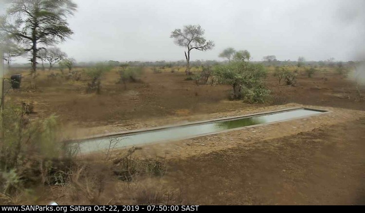 satara.jpg