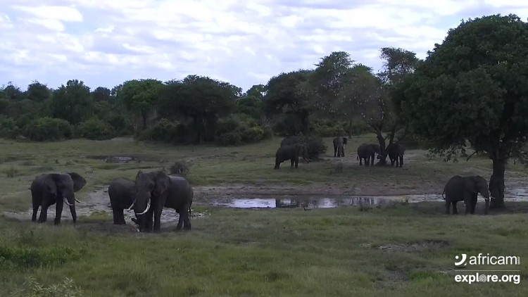 Mfungeni 2312 0147.jpg