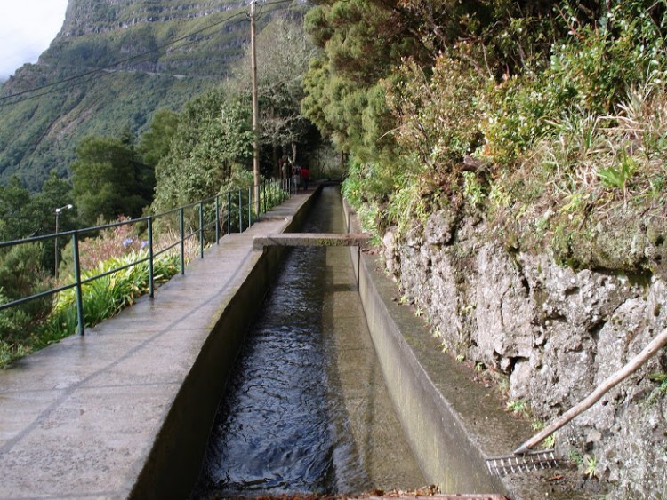 36. La Levada  do Norte, 28.12.06.JPG