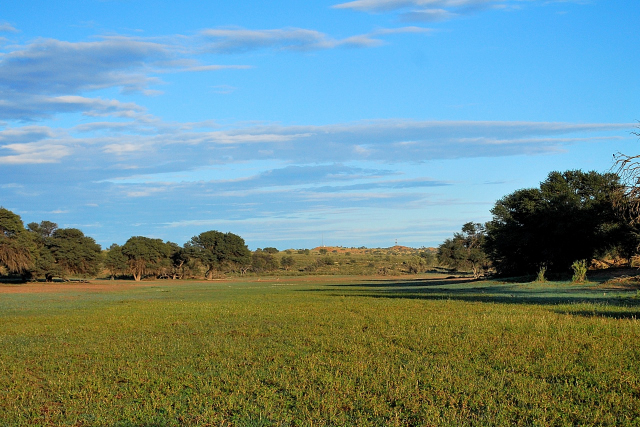 DSC_0312_00002.jpg