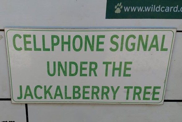 That s why you should know your trees.jpg