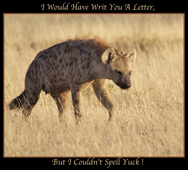 song1.jpg