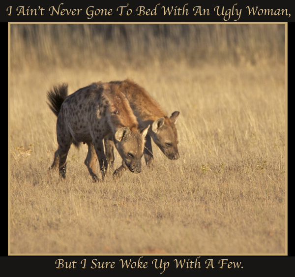 song11.jpg
