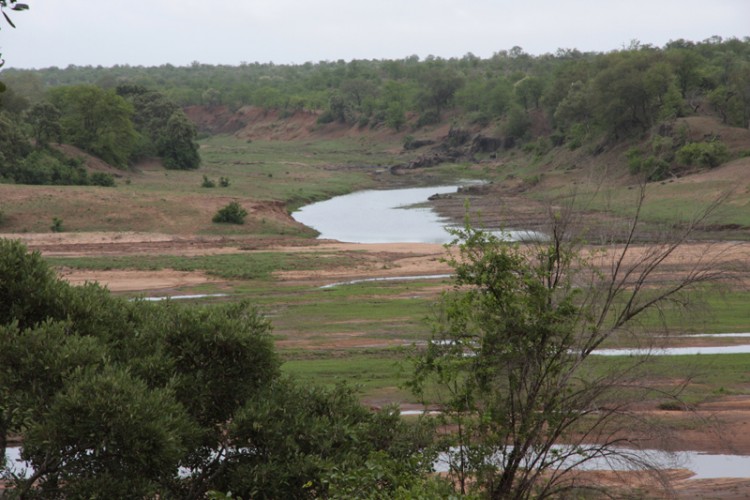where in kruger april 13.jpg