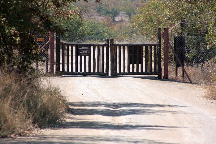 knp.jpg