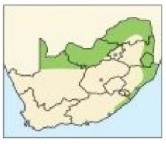 Distribution for RSA.jpg