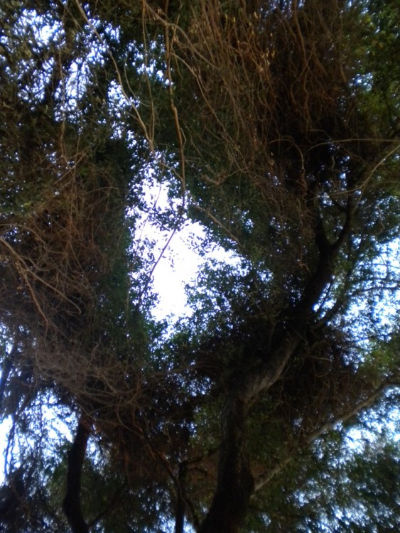 DSCN1011.jpg