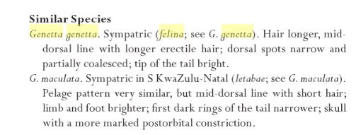 Cape Genett similar species.jpg