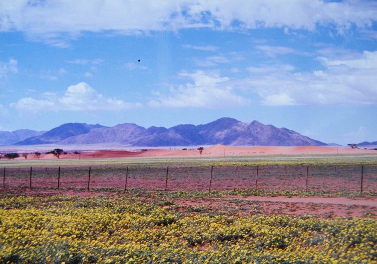 DSCF0683.JPG