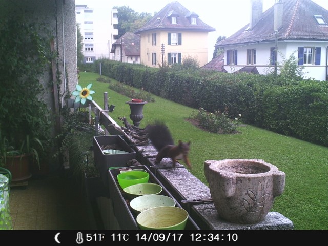 camera 2