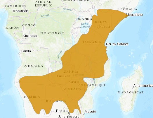map.jpg
