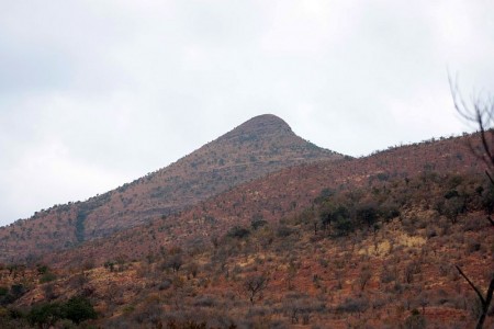 IMG_1875.jpg