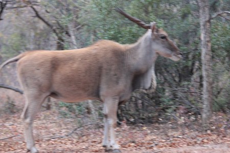 IMG_1868.jpg