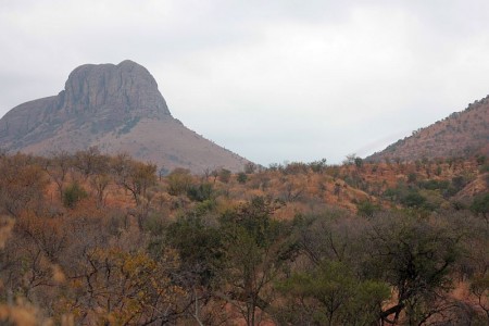 IMG_1874.jpg