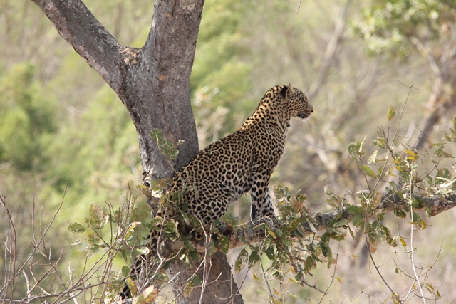 IMG_5257.JPG