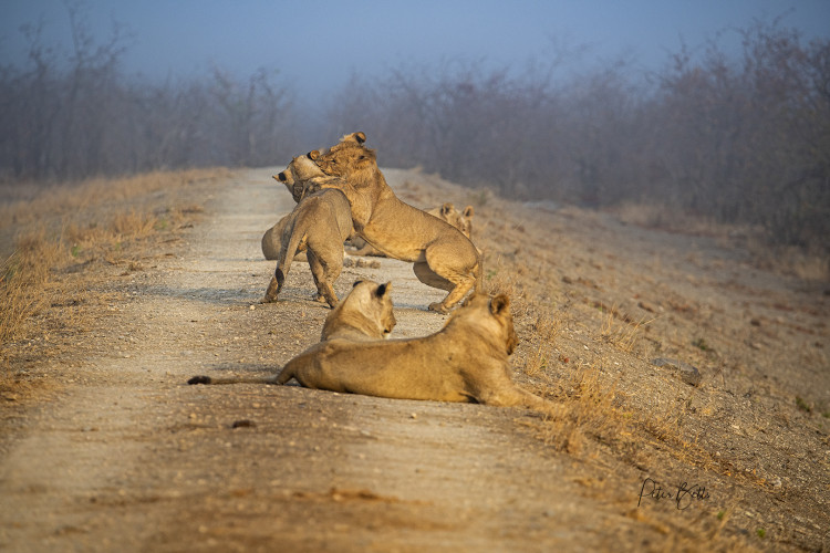 Hunting Practice on the Dam Wall.jpg