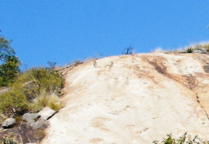 w1.jpg