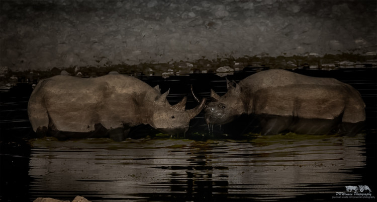 _A3A1532-Edit-2 as Smart Object-1.jpg