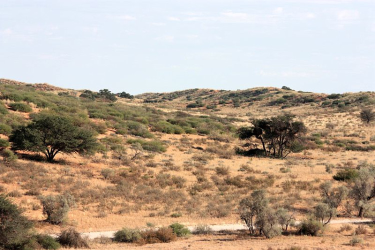 K1-8.jpg