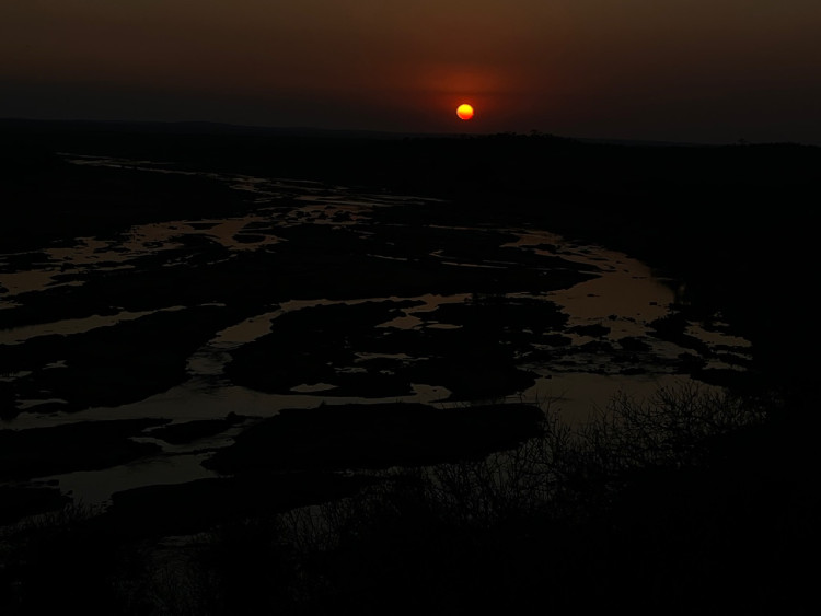 IMG_2600.jpeg