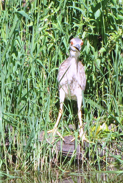 IMG_5103.JPG